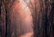 杏彩体育官网：约基奇61+11+10无缘今日最佳球员！库里狂轰52+10+8+5创18项纪录.