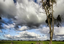 杏彩体育官网：中国对美方“对等关税”提议表示关切，强调反对保护主义.