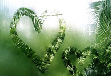 [篮球]首届雄安国际女篮邀请赛圆满收官.