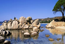 [篮球]首届雄安国际女篮邀请赛圆满收官.